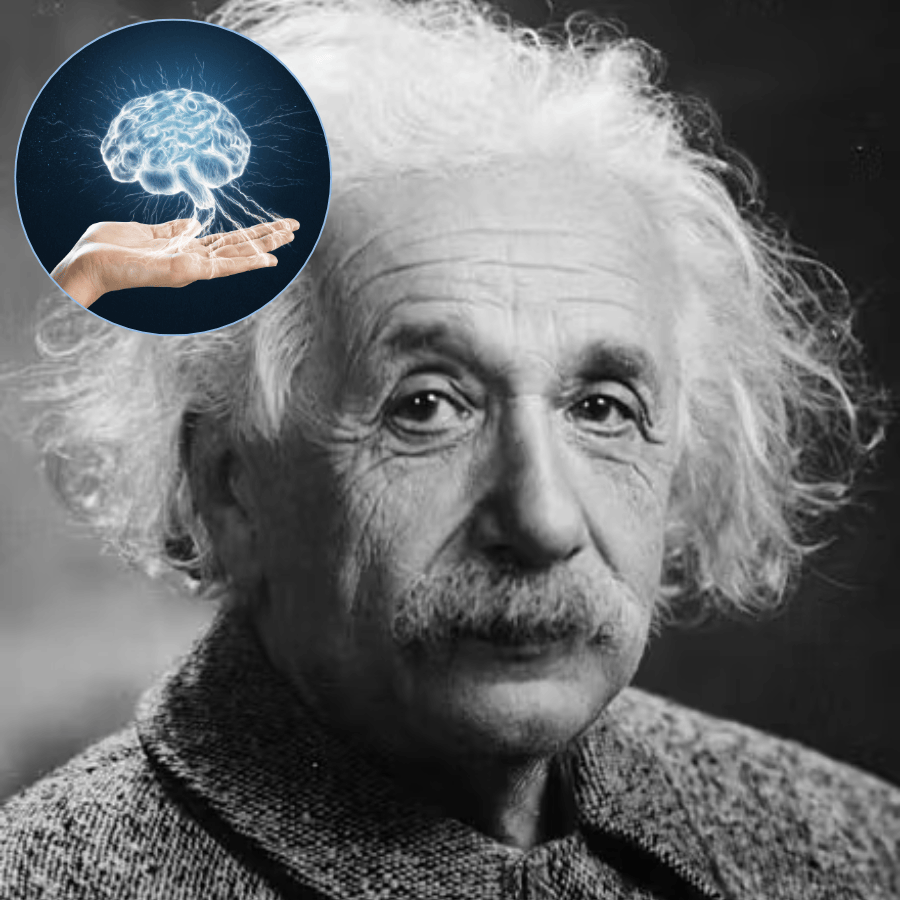 Portrait of Albert Einstein with brain illustration concept representing focus and cognitive performance